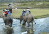 Chitwan